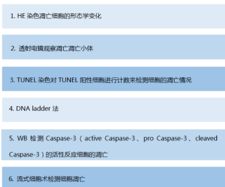 細(xì)胞、組織TUNEL凋亡染色實(shí)驗(yàn)服務(wù)
